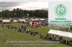 Svensk fokus på sunde hunde