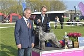 Kerry blue terrier sejrede i Roskilde