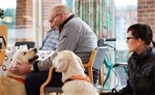 Hundene står i kø til jobbet som besøgshund i hele landet