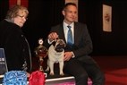 DKK Herning - Interview med søndagens best in show