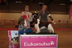 DKK Fredericia