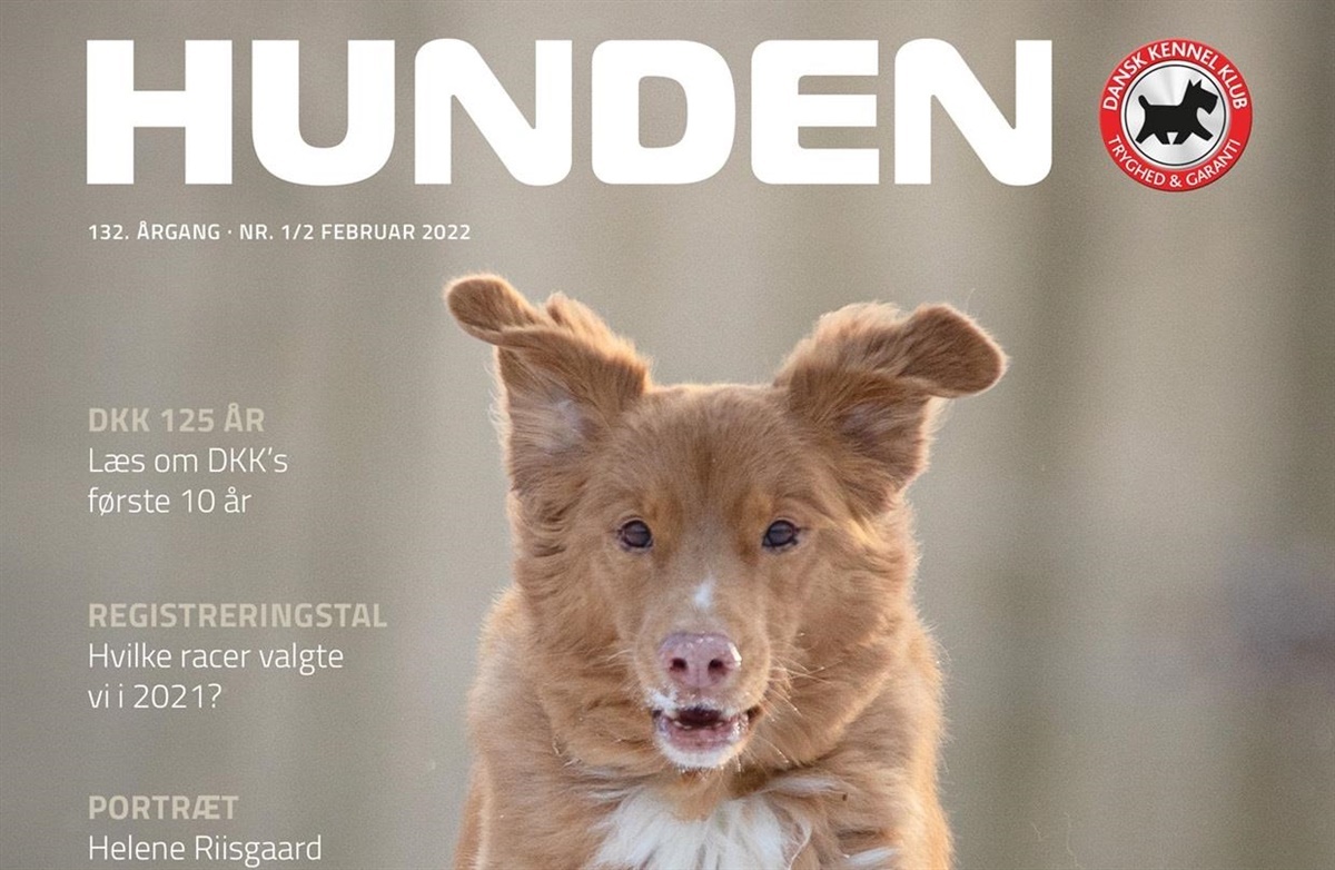 Maleri Mand cyklus Årets første nummer af HUNDEN - Hunden.dk
