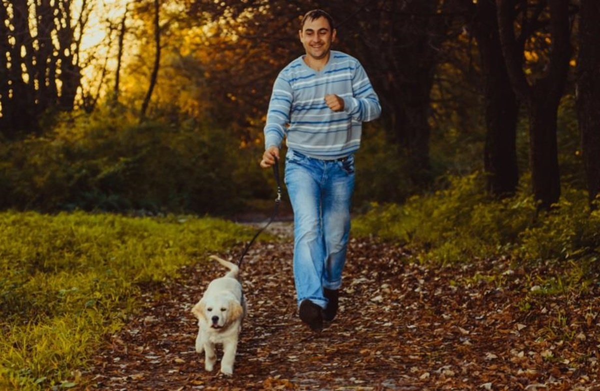 Tale gyldige sæt ind Hvordan er det nu med hunde i snor - Hunden.dk