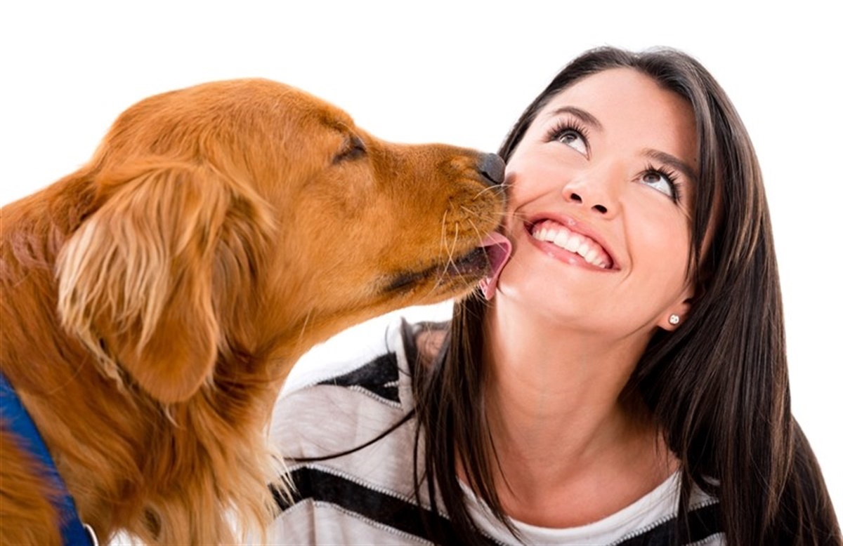 Lad ikke din hund slikke dig i ansigtet – det kan være farligt!