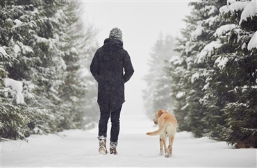 Sne igen: Har vores hunde virkelig brug for t&oslash;j?