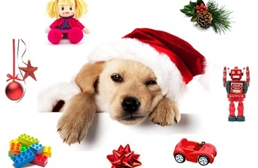Undg&aring; julens farer for hunden