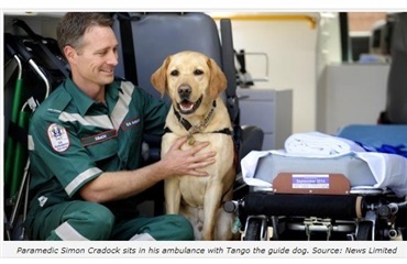 Service- og førerhunde med i ambulancen