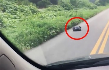 Bilist finder ”levende” affaldspose på vejen