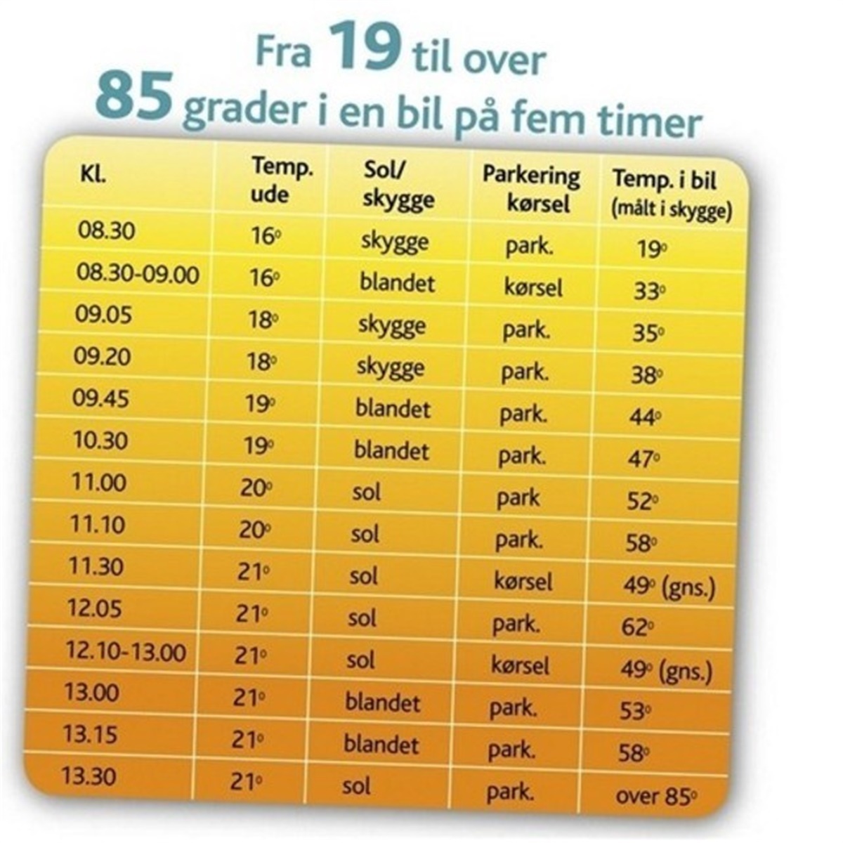 Hvis du finder en i en sommervarm Hunden.dk