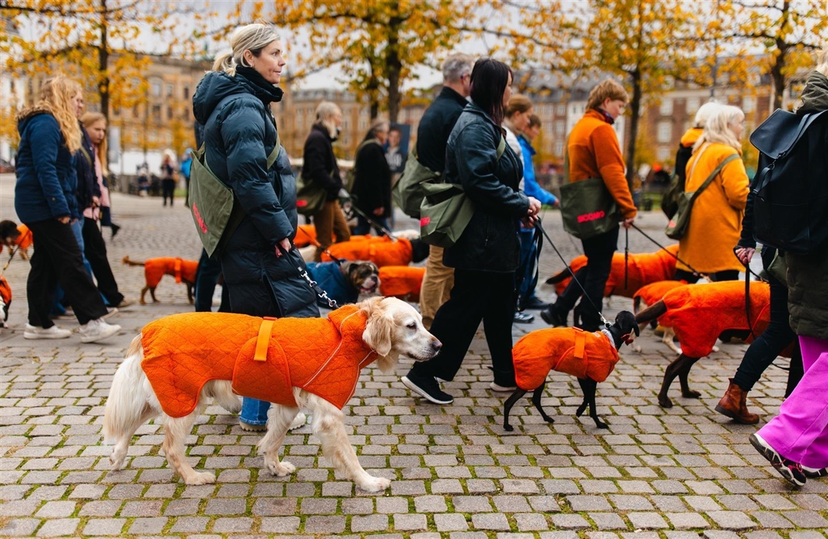 Foto: Elena Belevanteva, BeInLens