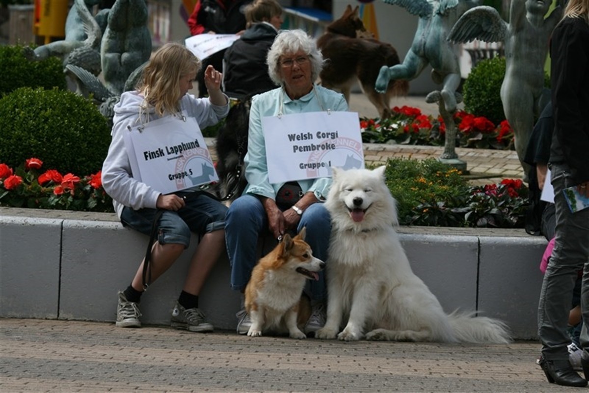 Hundens Dag i - Hunden.dk