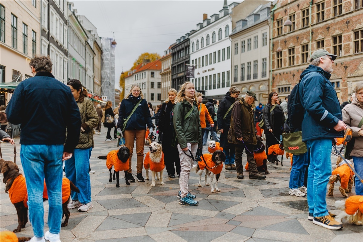 Foto: Elena Belevanteva, BeInLens