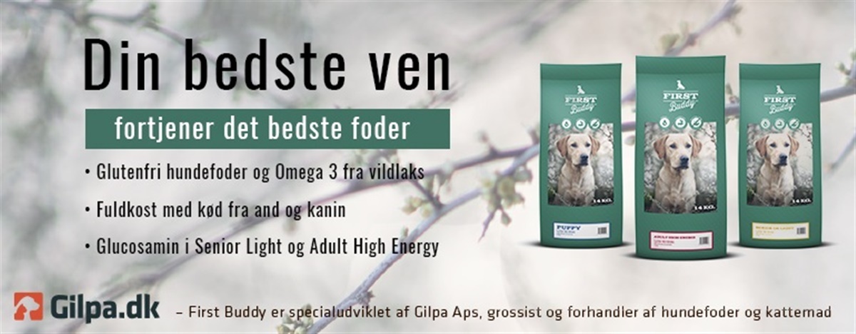 Gilpa