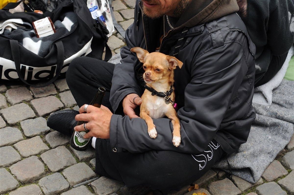 sætter hunden først - Hunden.dk