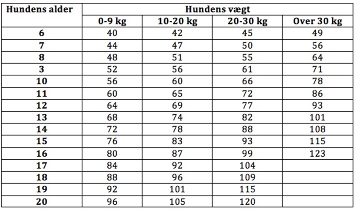 gammel er - Hunden.dk