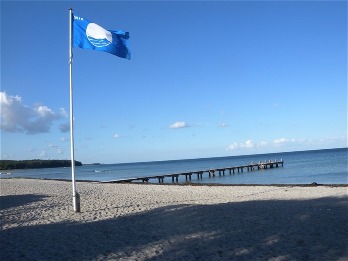 Hundebadning ved Blå Flag–strande