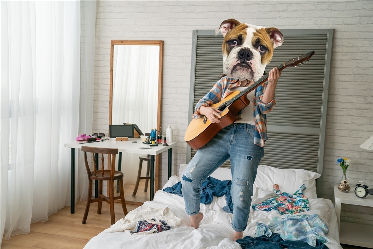 Cooronaboomets hvalpe er teenagere - og hvad så - Hunden.dk