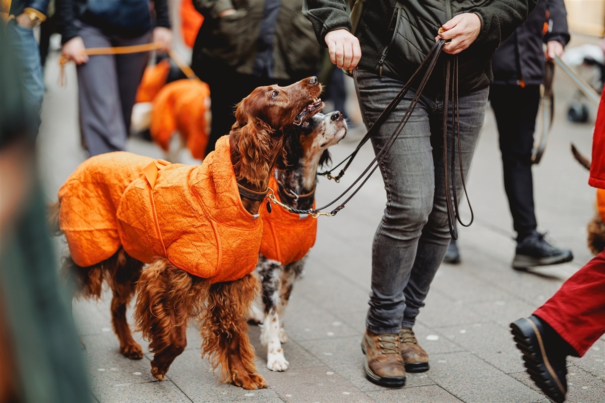 Foto: Elena Belevanteva, BeInLens