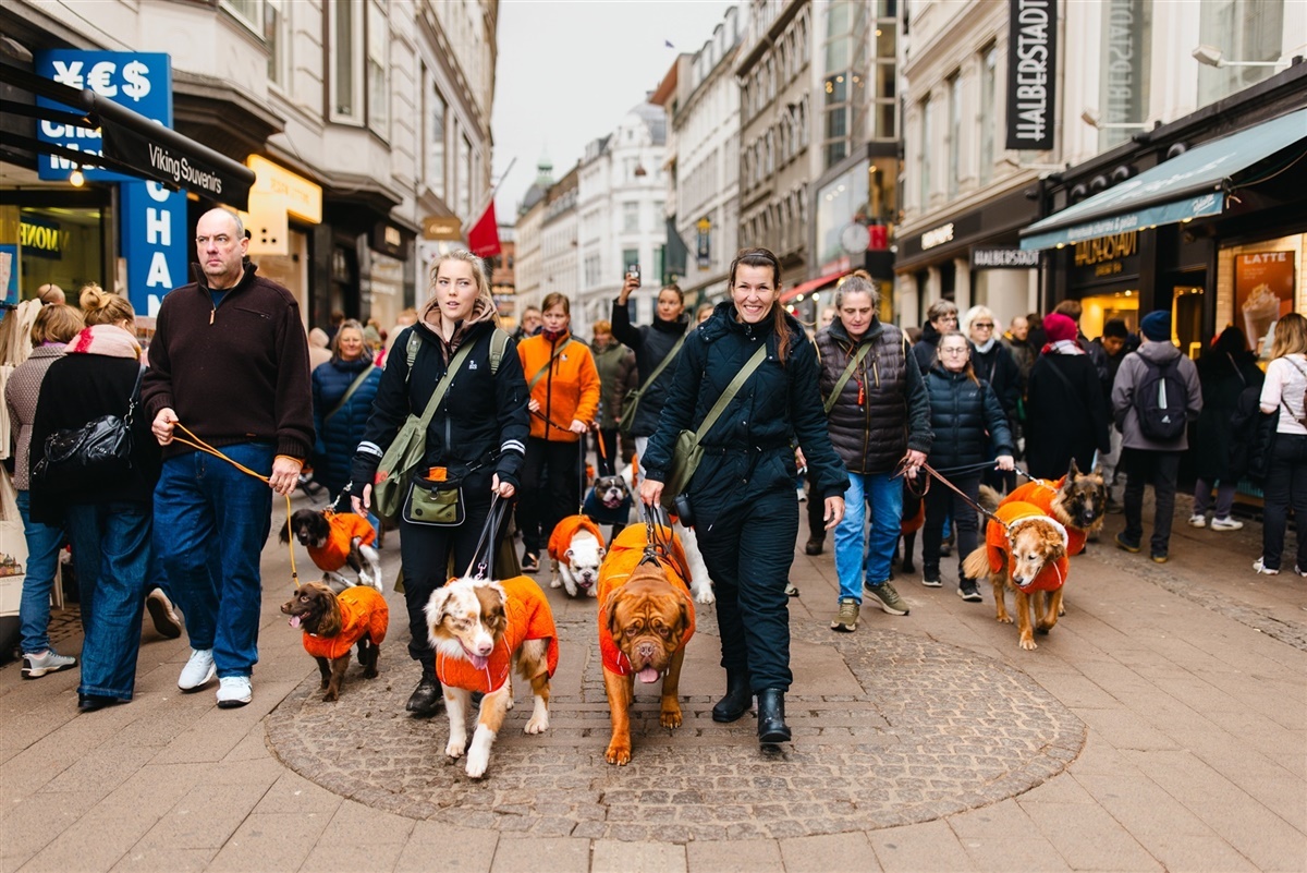 Foto: Elena Belevanteva, BeInLens