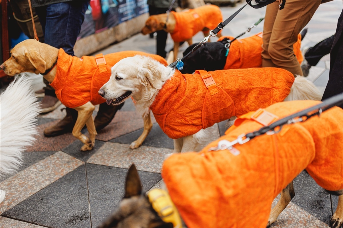 Foto: Elena Belevanteva, BeInLens