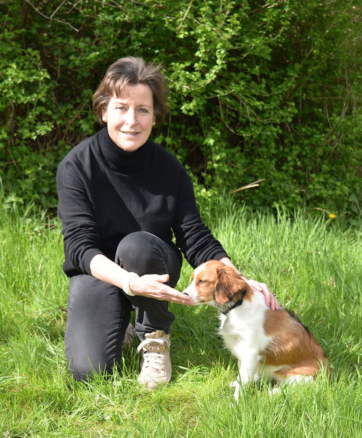 Sådan holder du hund sund livet - Hunden.dk