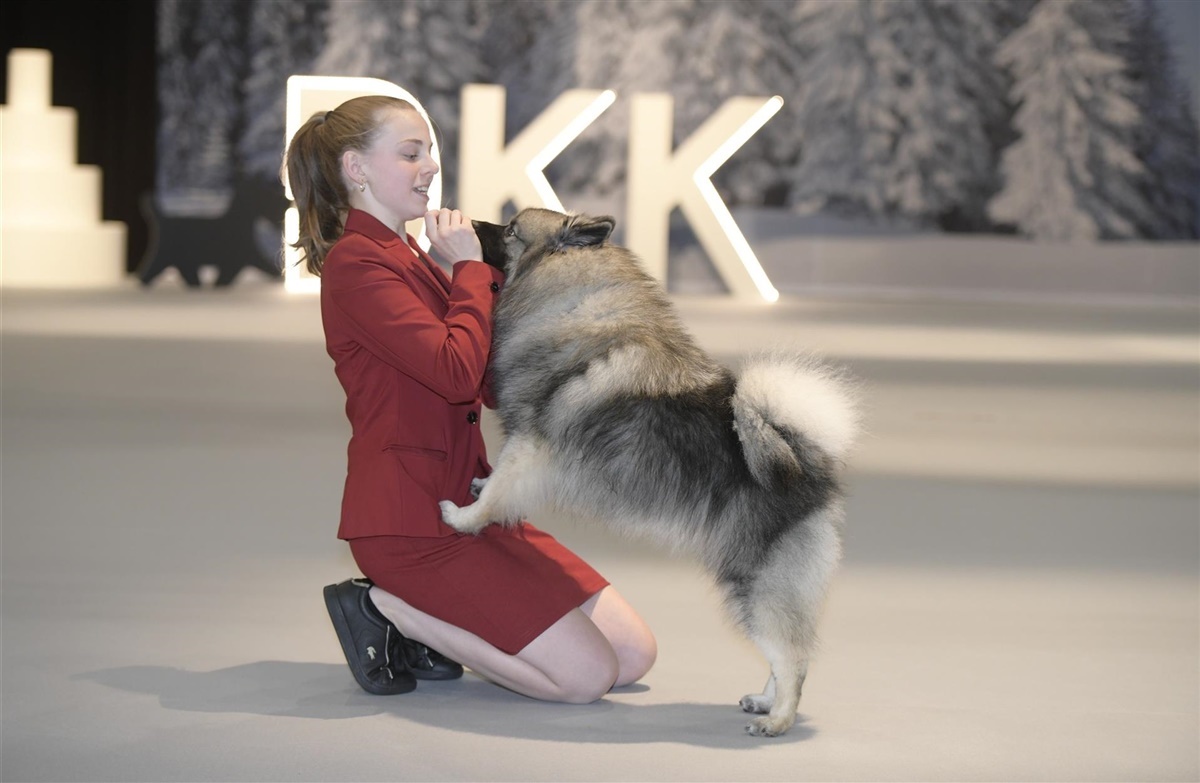 Foto: Wiegaarden/Jørgen Bak Rasmussen