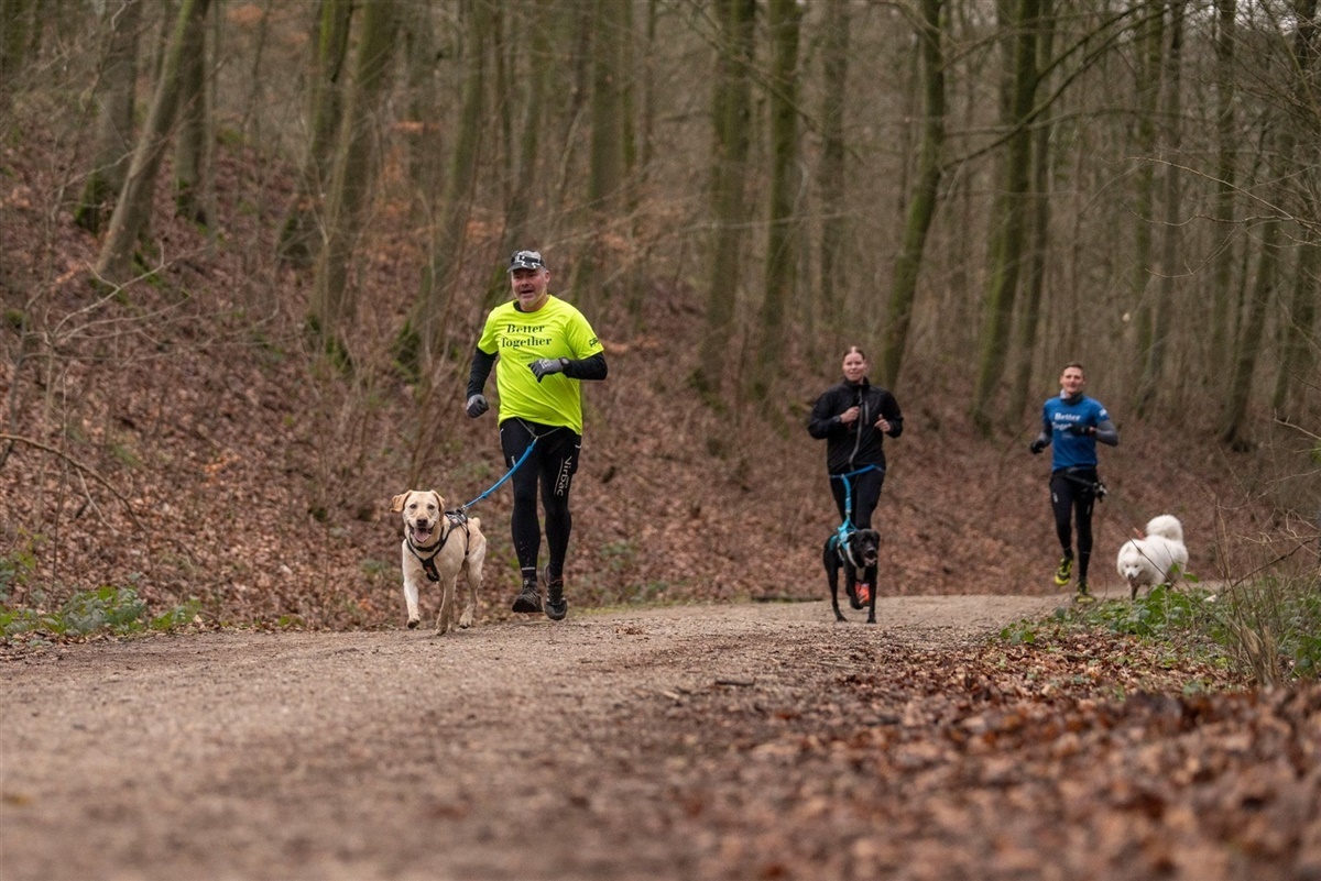 BLOG: Løb med hunden? - det noget os? - Hunden.dk