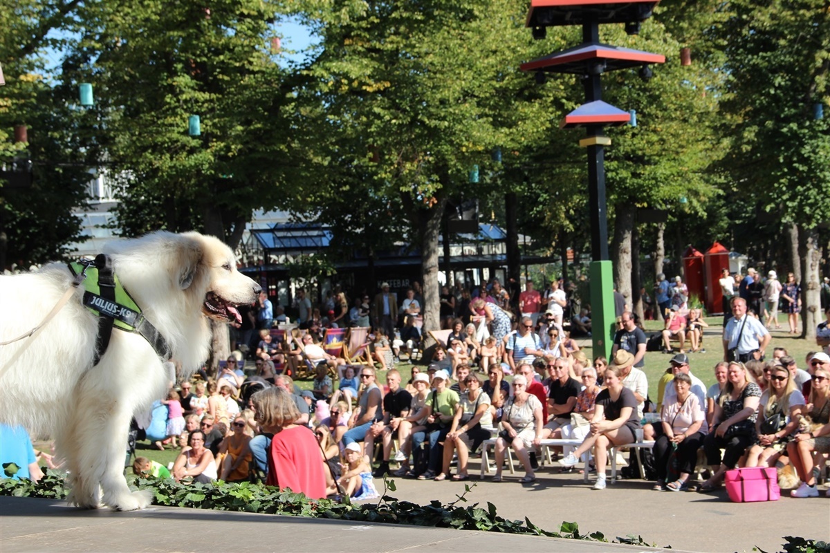 Se billederne: Hundens dag i Tivoli -