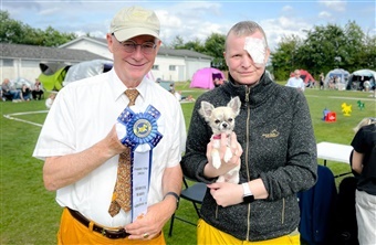 Da d&oslash;dsdommen faldt, svarede hundene igen