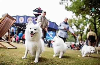 Poter p&aring; Pl&aelig;nen: Tivoli fejrer Hundens dag 