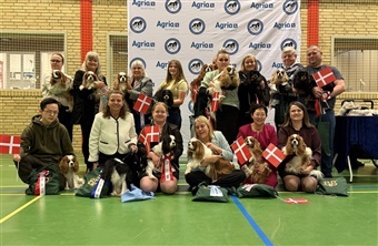 Cavalierklubben sk&oslash;d udstillings&aring;ret i gang i Aunslev