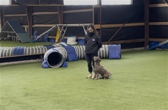 Praktisk eksamen p&aring; instrukt&oslash;ruddannelsen