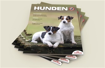 Nyt nummer af HUNDEN fyldt med inspiration, viden og hundegl&aelig;de 