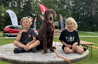 B&oslash;rn og hunde kr&aelig;ver voksenblik