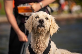 5 ting der styrker relationen
