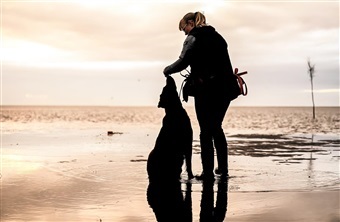 Sm&aring; sommerture med hund