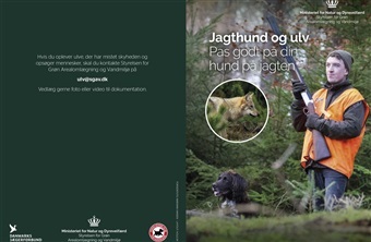 Ny folder: S&aring;dan beskytter du din jagthund mod ulv
