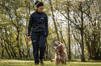 Guide: S&aring;dan f&aring;r du og din hund den bedste tur i hundeskoven