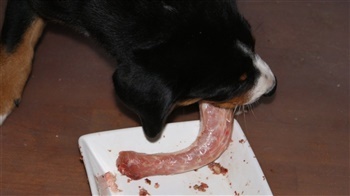 Pretty Perfect Shabér