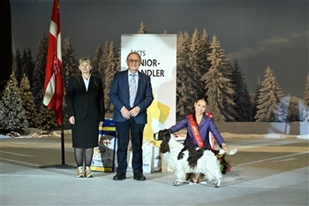 DKK-Udstilling Herning (Alle billeder online)