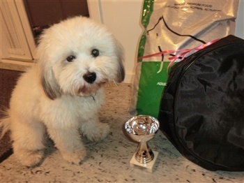 Skærbækgaard`s florentino