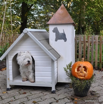 Lindegaardens Obelix