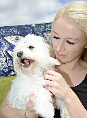 Stærebogårds Ajour