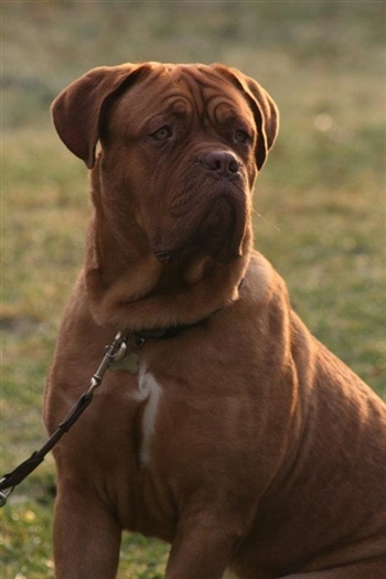 Juul's Mission Complete