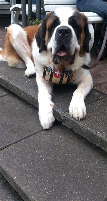 Sunny lee`s pentagon