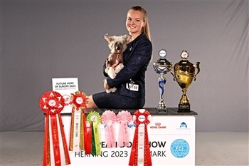 European Dog Show Herning (Alle billeder online)