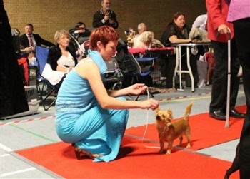 Lindballe´s Fürstenwelt