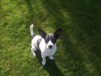 Frydendal´s De Sign