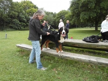 Kokholm´s Donna Weltic