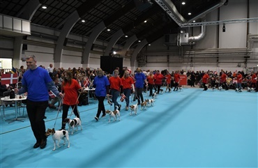 Dansk/svensk g&aring;rdhundeklub indf&oslash;rer ny &Aring;rets Hund